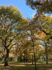 日本6日溫泉之旅 愜意泡湯享受