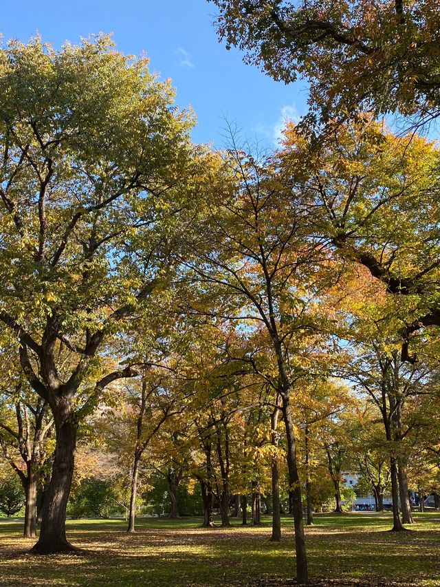 日本6日溫泉之旅 愜意泡湯享受