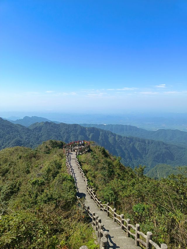 登高望遠大明山