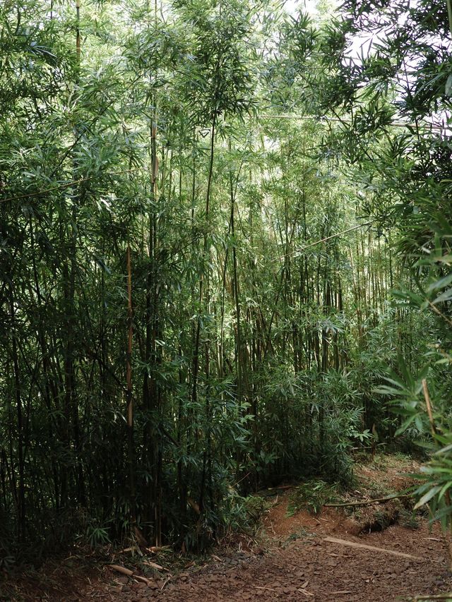 8日橫跨美國 朋友圈都被讚爆了