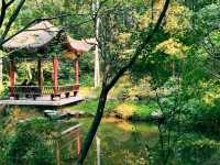 新余抱石公園