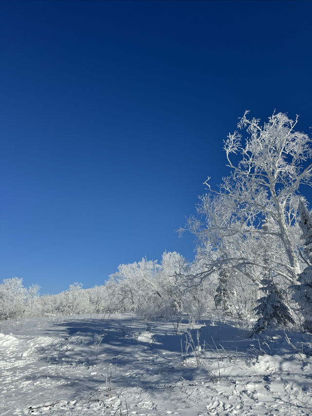 雪谷洪波客棧 | 冰雪世界中的溫暖驛站