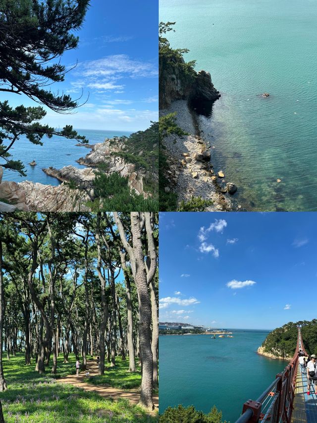 韓國蔚珍郡：東海岸的寶藏之地