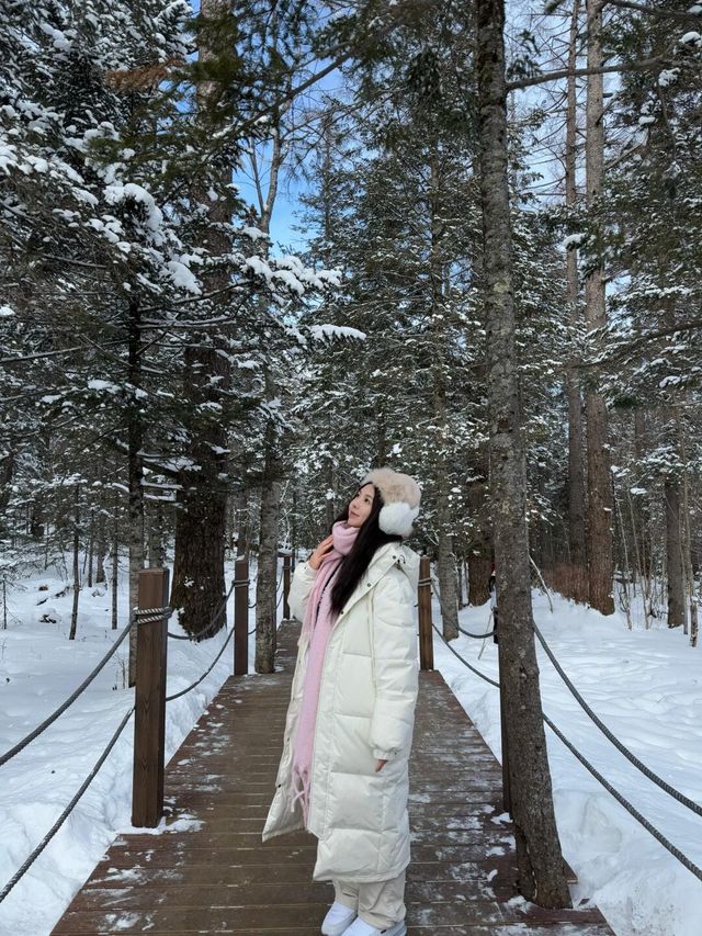 北國的冬｜哈爾濱長白山旅行｜長白山|||
