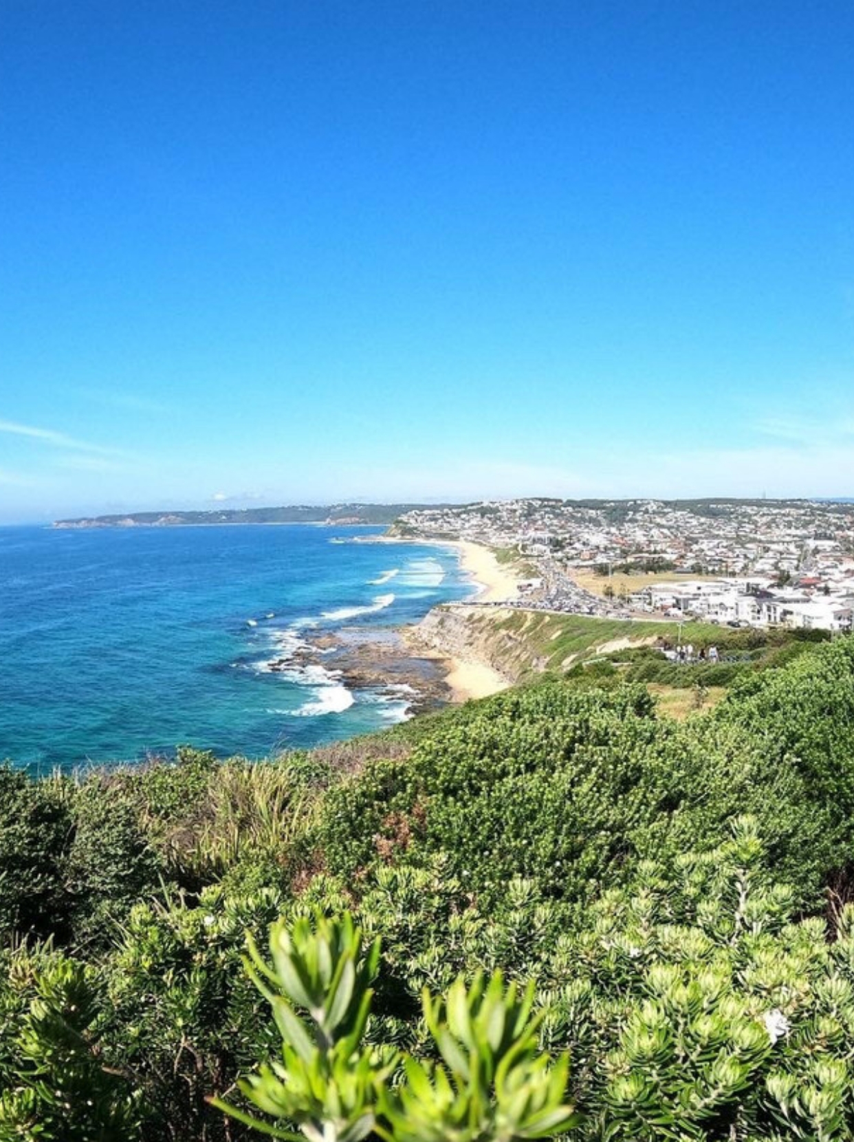 Newcastle