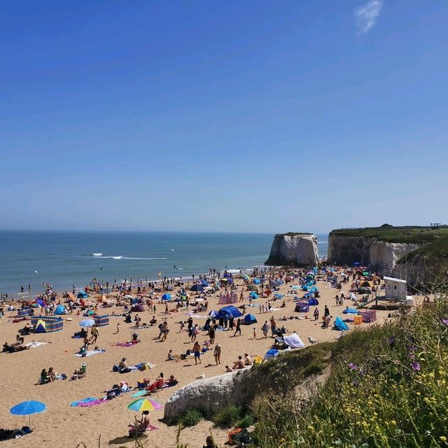 Botany Bay at Kent: A Glance at Nature's Wonders
