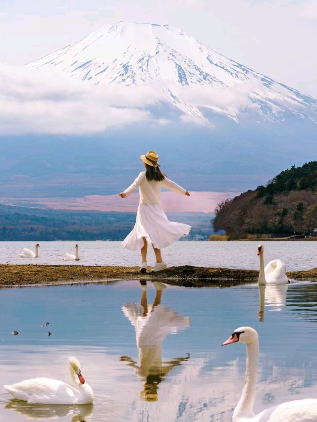 Very Satisfactory place to go - Mount Fuji❤️❤️