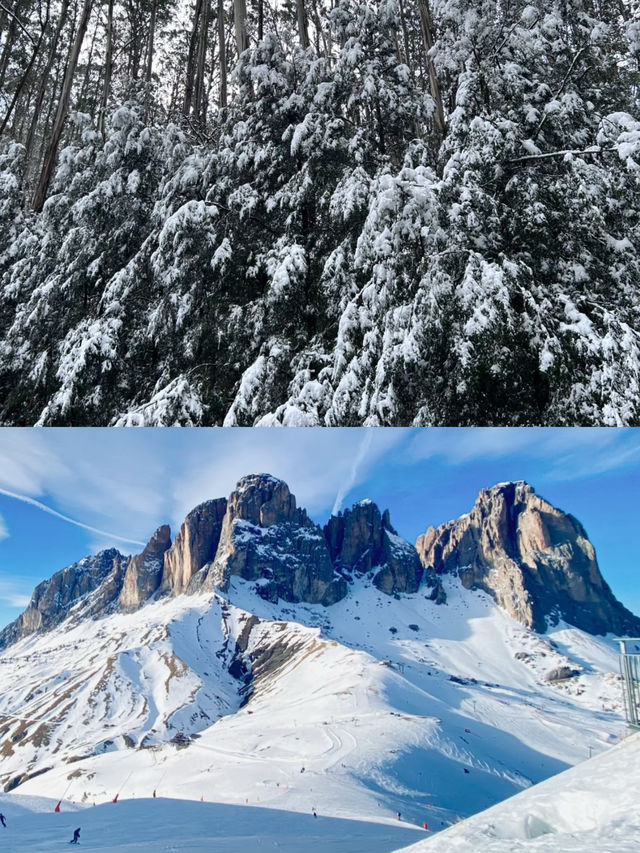 墨爾本滑雪全攻略，暢享冰雪激情