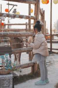 一邊係耶路撒冷一邊係烏托邦