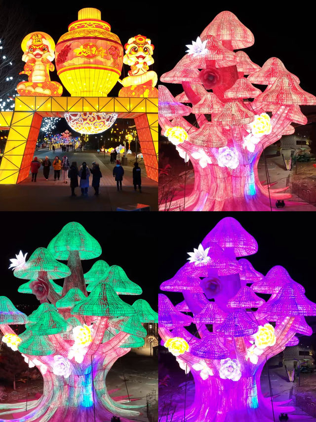 春節出遊去哪玩？北京世園國際旅遊度假區熱鬧又喜慶
