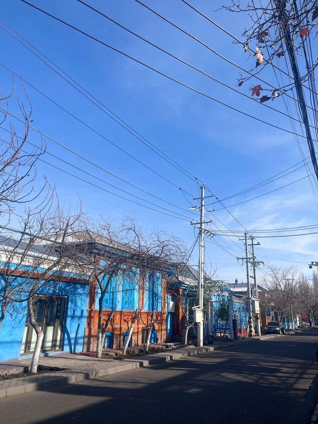 伊犁-博爾塔拉4日遊超詳細攻略不踩雷必看