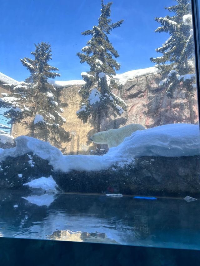 6天玩轉日本超全旅遊攻略速碼