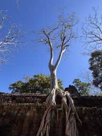 寒假柬埔寨6日遊 輕鬆玩轉不留遺憾