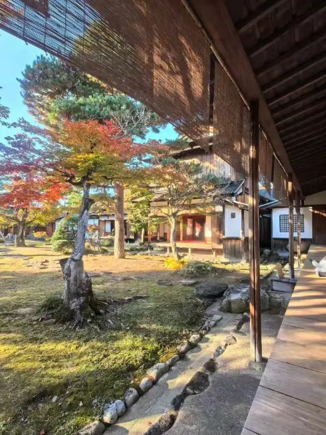 일본 3일 여행 초실용 가이드 완벽 즐기기