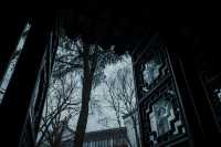 【上海青浦曲水園】雨中江南,絕美打卡地!