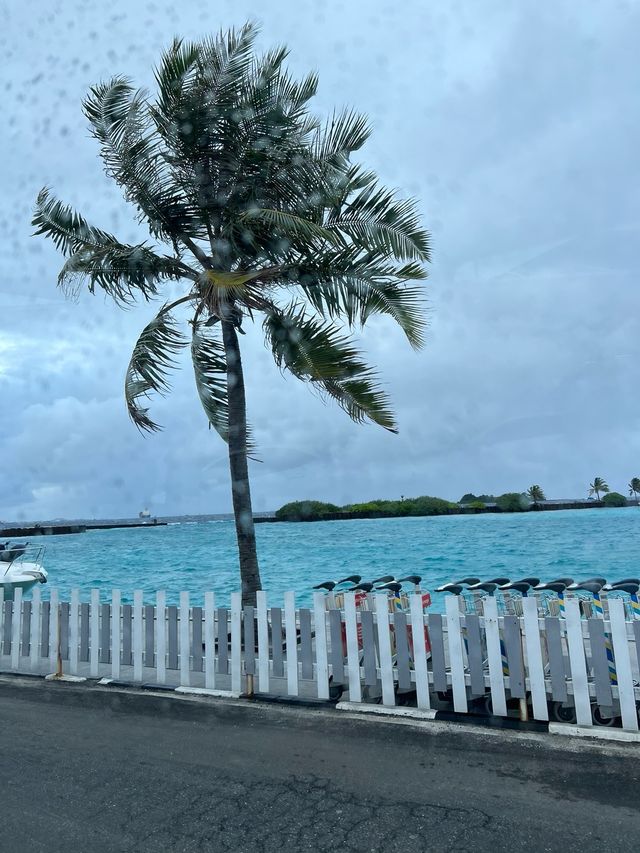 在馬累 給我一輛小電單車 我覺得會很開心的