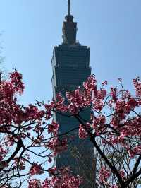 <去咗5次台北總結出嘅超詳細攻略