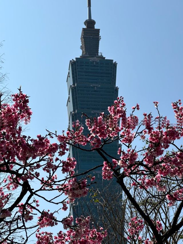 <去咗5次台北總結出嘅超詳細攻略