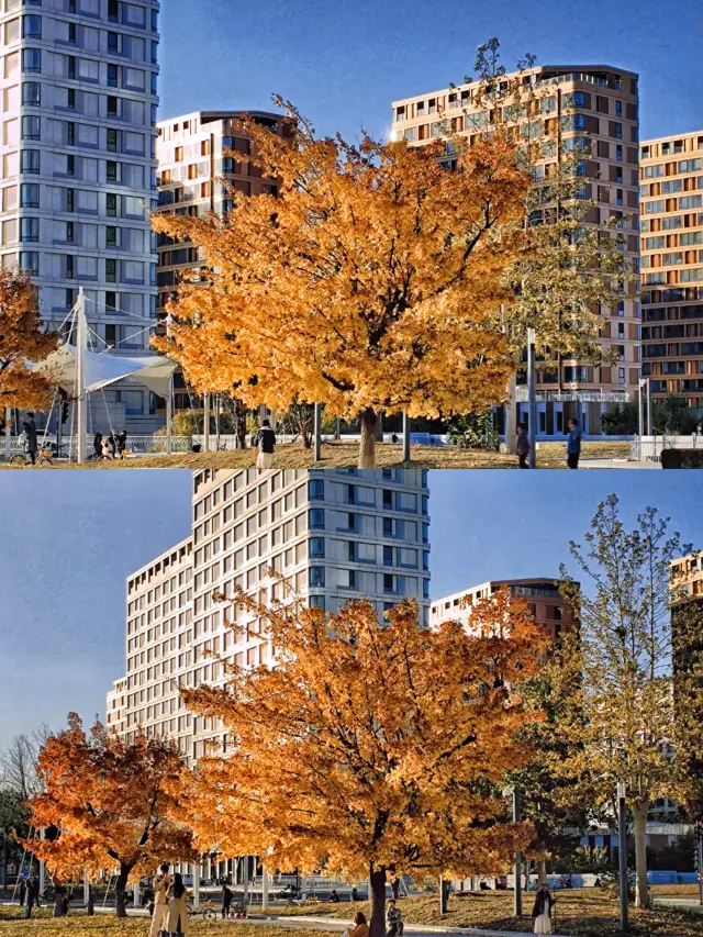 Relaxing Beitou Hot Spring Resort