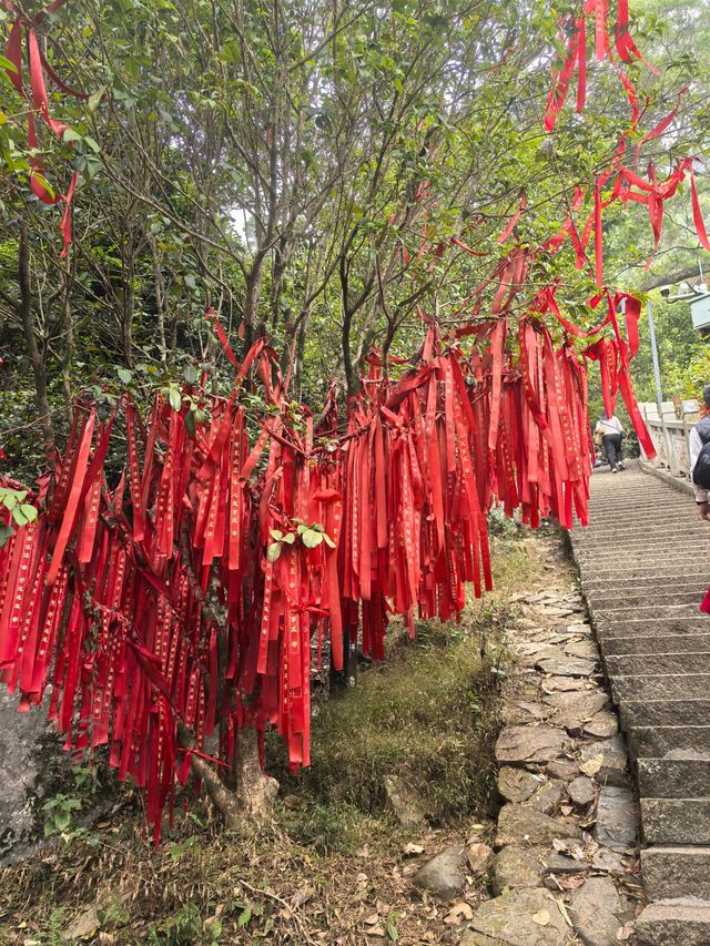 春來尋夢石竹山