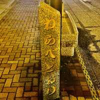 夜游東京成田表參道