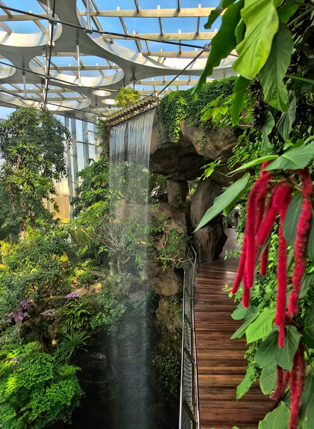 上海植物園，玻璃穹頂下的植物百科。