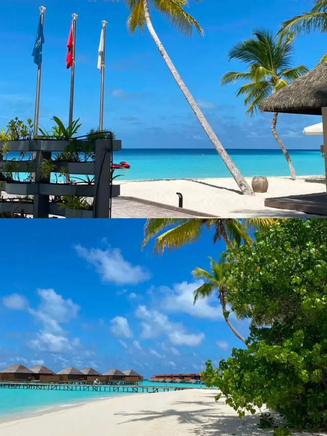 몰디브 수도 여행기 - 말레