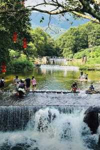 廣東寶藏森林公園，可駕車前往！
