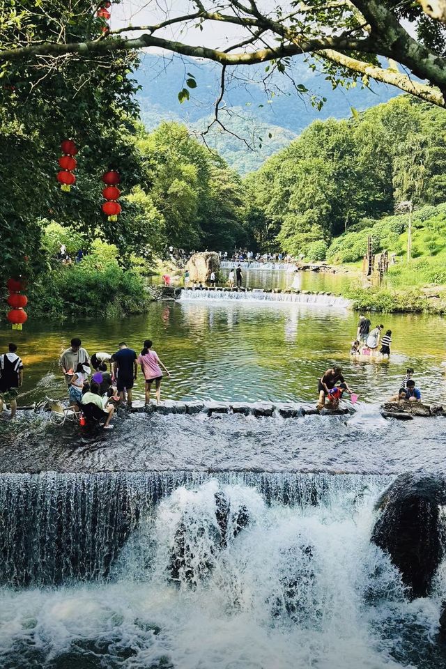 廣東寶藏森林公園，可駕車前往！