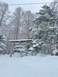 新年旅行第一站，志賀高原滑雪全攻略