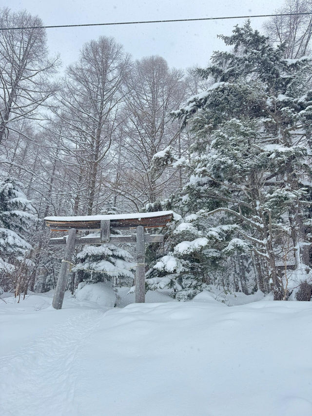 新年旅行第一站，志賀高原滑雪全攻略