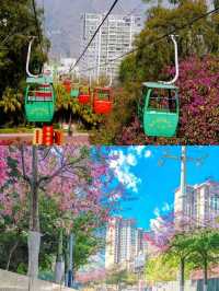 攀枝花已回，真心不建議2月去。