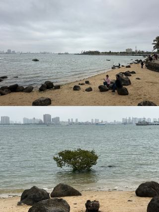 湛江深度 citywalk！逛這幾個地方就夠了！