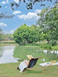 深圳嘅春天，我都想攤喺湖邊野餐hea吓