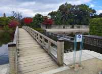 探索名古屋白鳥庭園｜欣賞自然之美