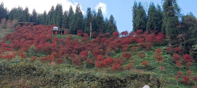 什邡-神瀑溝