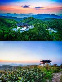 以運動之名 相約餘杭徑山花海