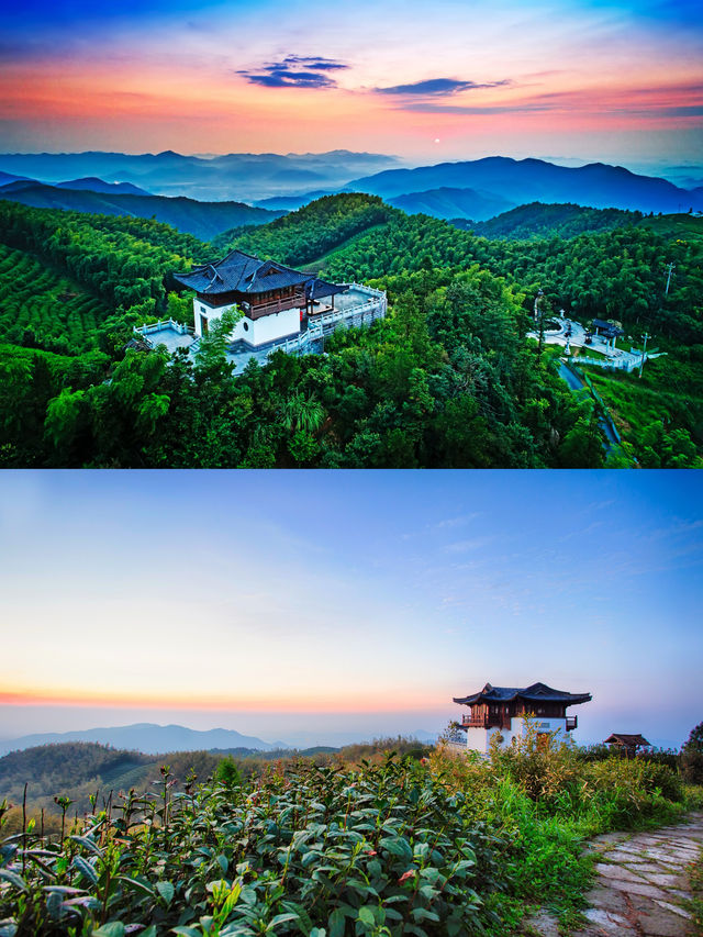 以運動之名 相約餘杭徑山花海