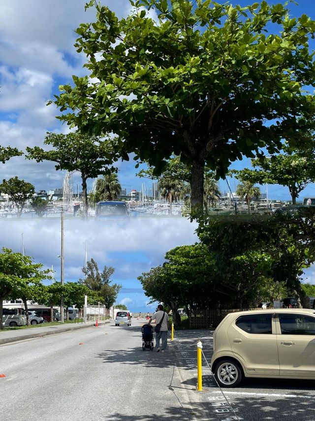 沖繩秘境探索！宜野灣市的絕美海灘與寧靜時光
