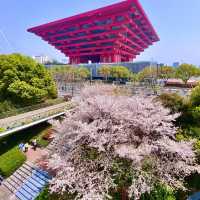 世博源櫻花階梯🌸 氛圍感直接飆滿格
