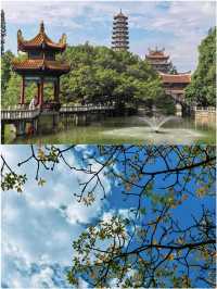 福州來了8天了 孩子哭著不想走