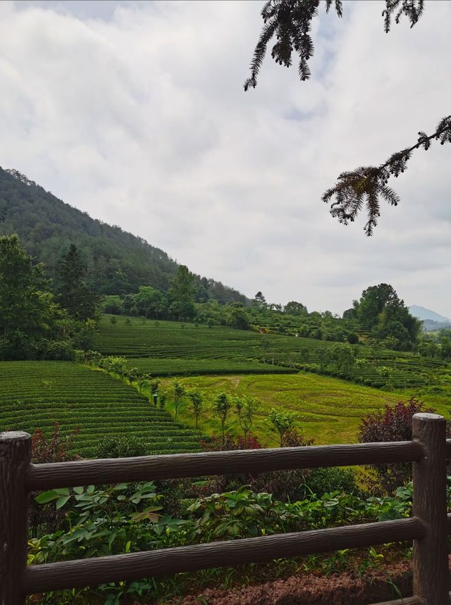 武夷山被低估的世界自然遺產，武夷山景點推薦