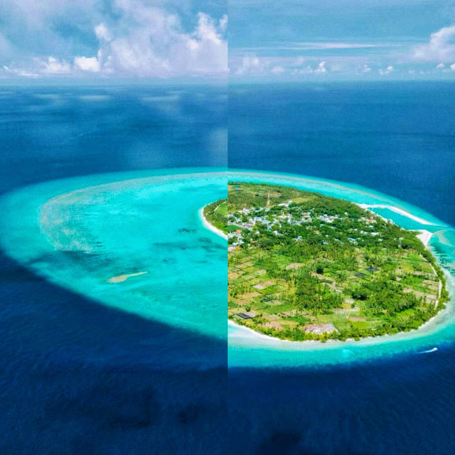 一個讓你從「打工仔」秒變「島民」的神奇地方！