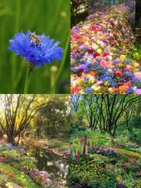 魔都「莫奈花園」—共青森林公園這片秘境，美到犯規！