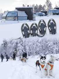 入住冰雪奇緣！北極狐冰屋的奇妙探險