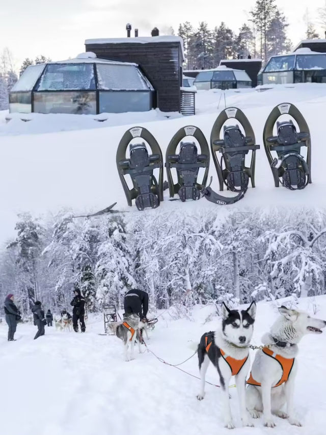 入住冰雪奇緣！北極狐冰屋的奇妙探險