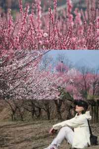 誤入仙境，西安偷偷藏了個「賣花漁村」