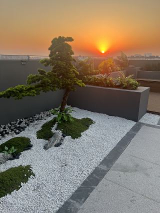 Encountering Luoyang: A Poetic Stay at Moshang Qingya Hotel
