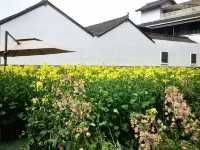 寶子們誰懂啊居然發現一個週末好去處