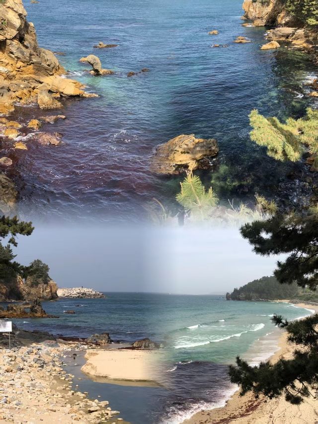 忍不住了！韓國東海小眾旅行全攻略